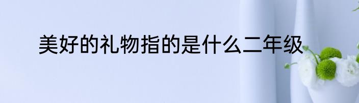 美好的礼物指的是什么二年级