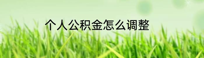 个人公积金怎么调整