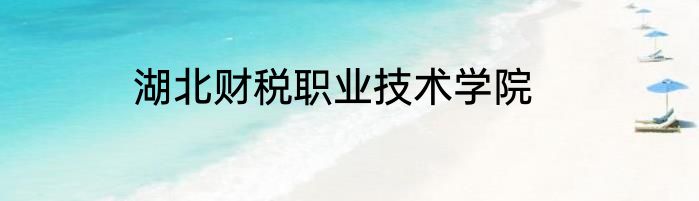 湖北财税职业技术学院