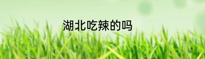 湖北吃辣的吗