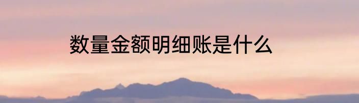 数量金额明细账是什么