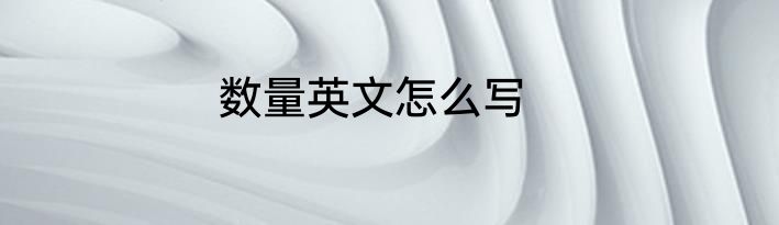 数量英文怎么写