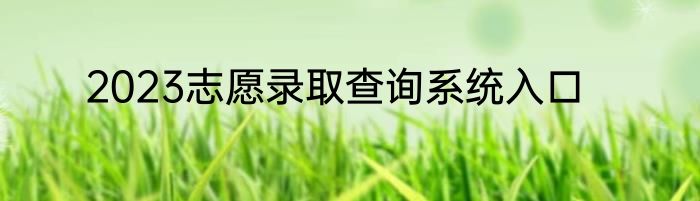 2023志愿录取查询系统入口