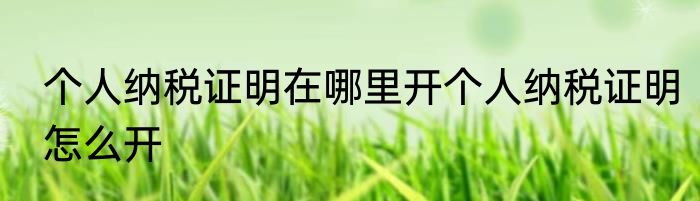 个人纳税证明在哪里开个人纳税证明怎么开