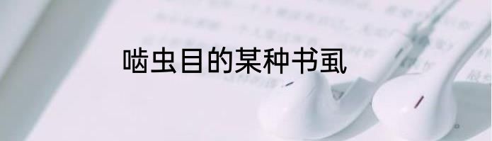 啮虫目的某种书虱