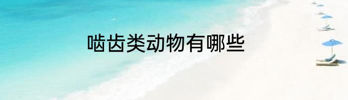 啮齿类动物有哪些