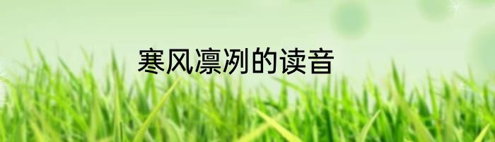 寒风凛冽的读音