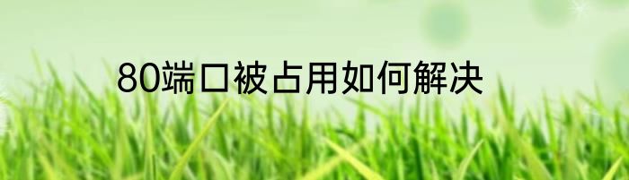80端口被占用如何解决