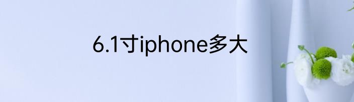 6.1寸iphone多大