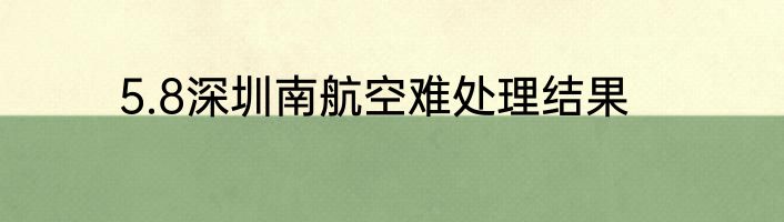 5.8深圳南航空难处理结果