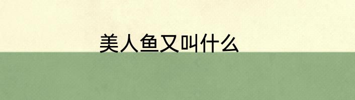 美人鱼又叫什么