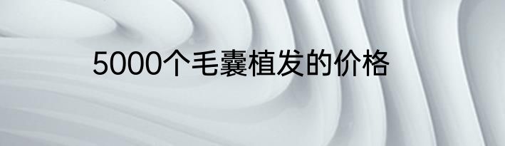 5000个毛囊植发的价格
