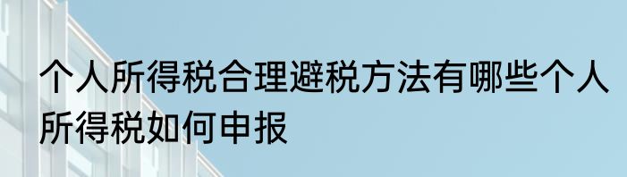 个人所得税合理避税方法有哪些个人所得税如何申报