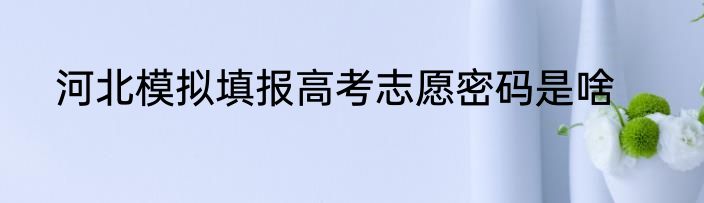 河北模拟填报高考志愿密码是啥