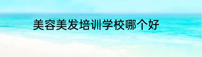 美容美发培训学校哪个好