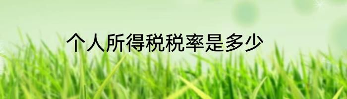 个人所得税税率是多少