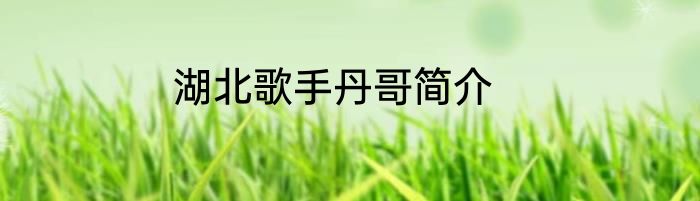 湖北歌手丹哥简介