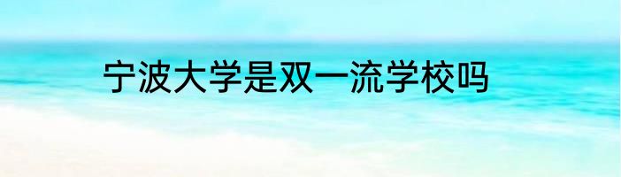 宁波大学是双一流学校吗