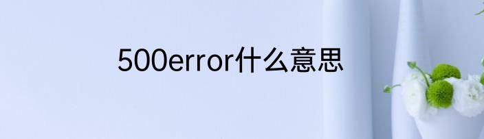 500error什么意思
