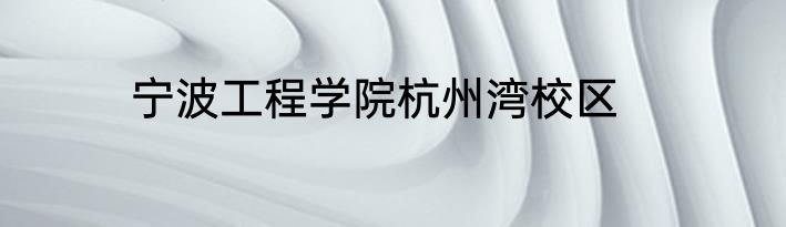 宁波工程学院杭州湾校区
