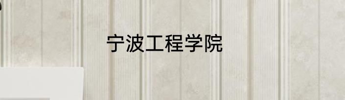 宁波工程学院