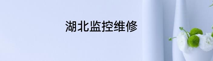 湖北监控维修