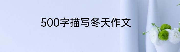 500字描写冬天作文