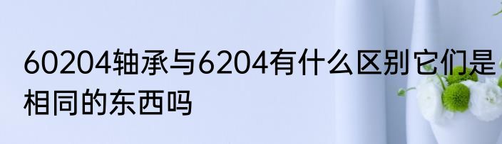 60204轴承与6204有什么区别它们是相同的东西吗