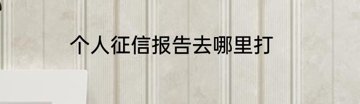 个人征信报告去哪里打