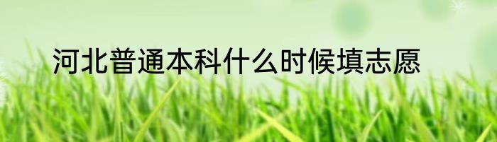 河北普通本科什么时候填志愿