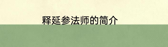 释延参法师的简介