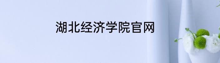 湖北经济学院官网