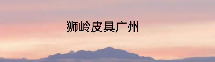 狮岭皮具广州