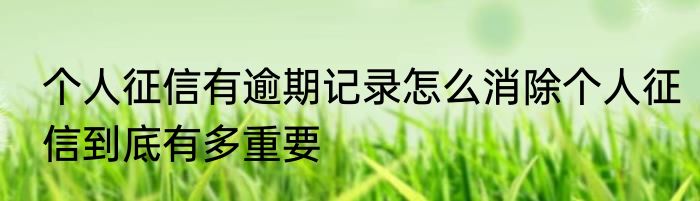 个人征信有逾期记录怎么消除个人征信到底有多重要