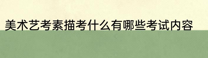 美术艺考素描考什么有哪些考试内容