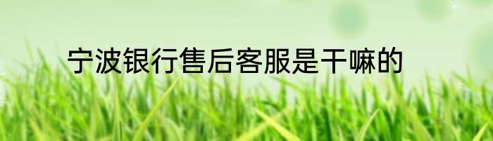 宁波银行售后客服是干嘛的