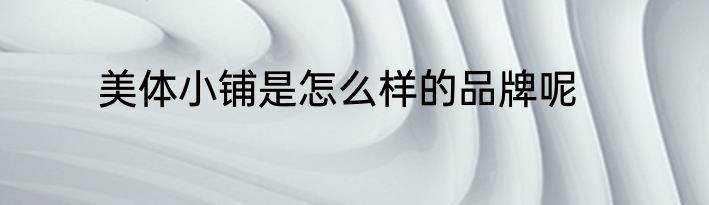 美体小铺是怎么样的品牌呢