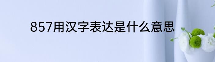 857用汉字表达是什么意思
