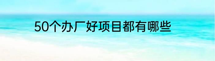 50个办厂好项目都有哪些