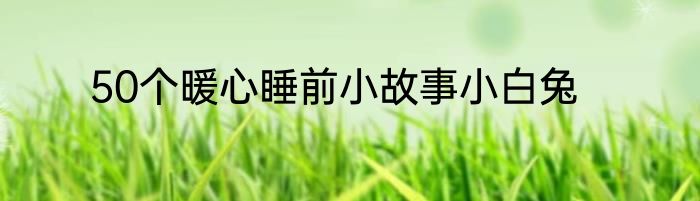 50个暖心睡前小故事小白兔