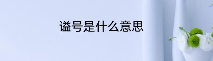 谥号是什么意思