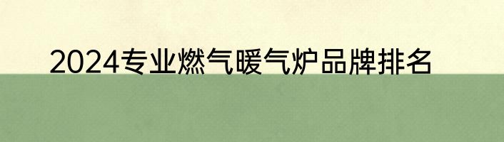 2024专业燃气暖气炉品牌排名