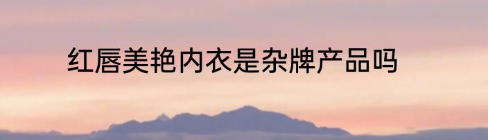 红唇美艳内衣是杂牌产品吗