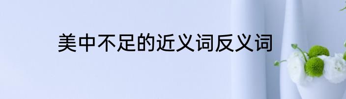 美中不足的近义词反义词