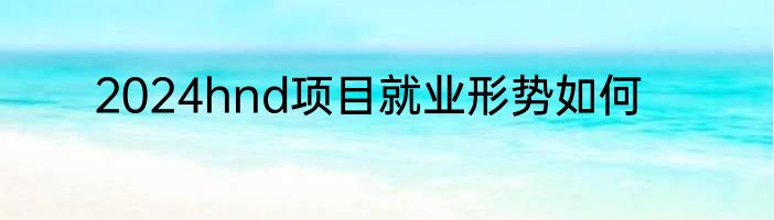 2024hnd项目就业形势如何