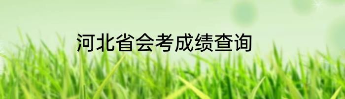 河北省会考成绩查询
