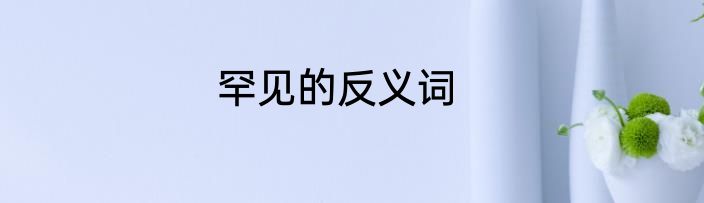 罕见的反义词