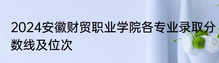2024安徽财贸职业学院各专业录取分数线及位次