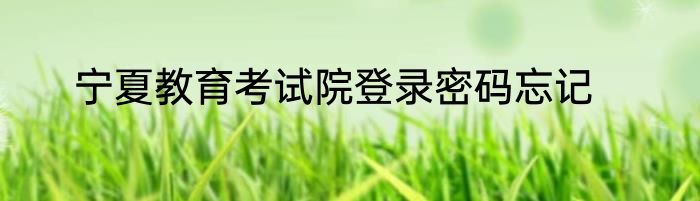 宁夏教育考试院登录密码忘记