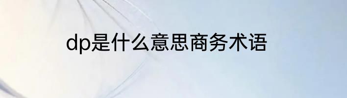 dp是什么意思商务术语